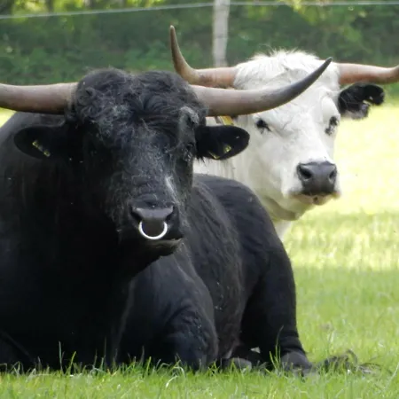 شقة Wisbek Brinjahe