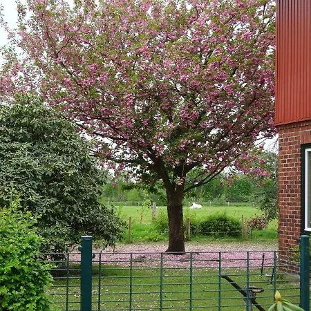 Wisbek Brinjahe